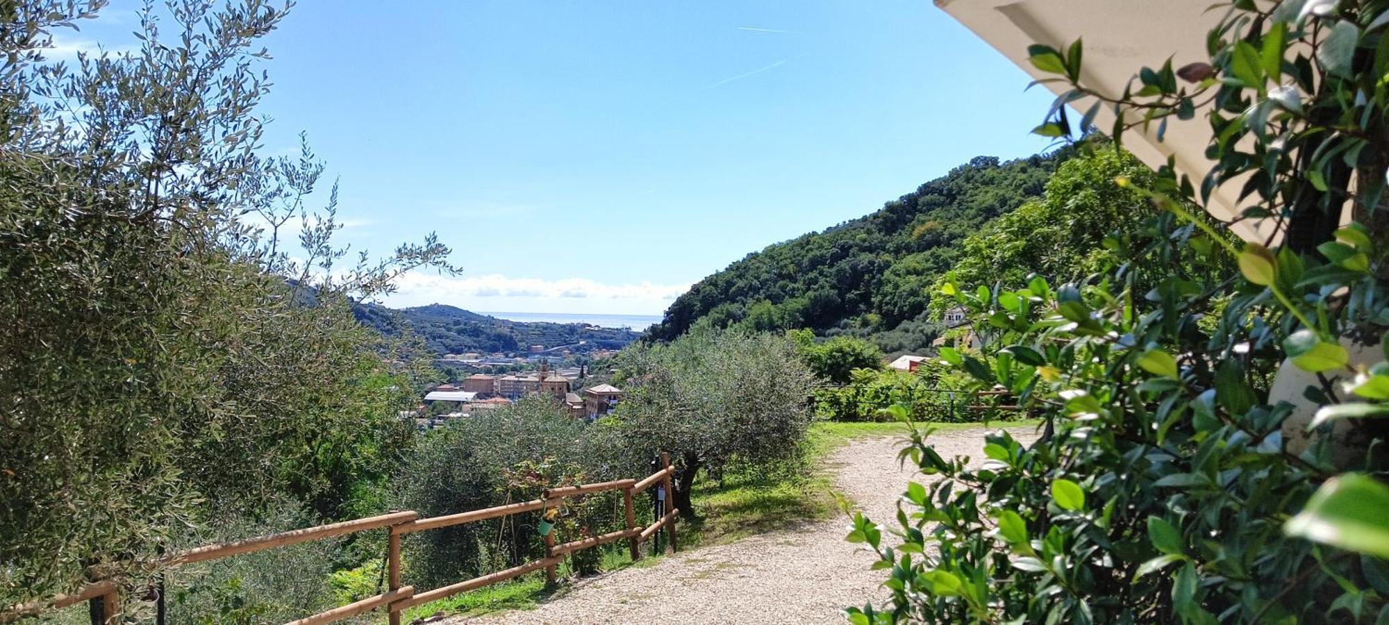 Le Drupe Villa Chiavari Eksteriør billede